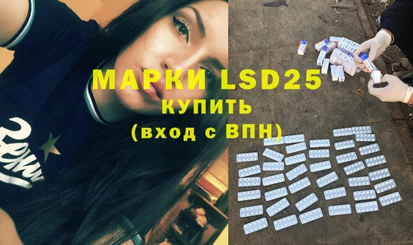 индика Арсеньев