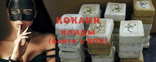 индика Арсеньев