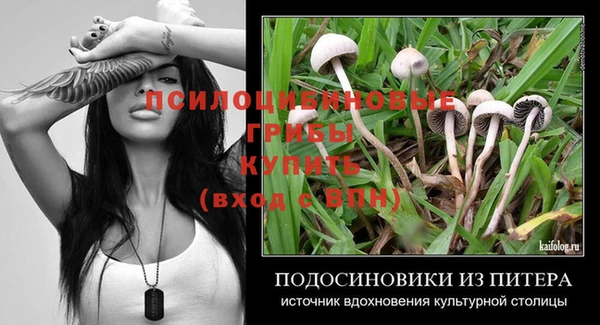 дмт Армянск