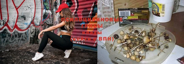метамфетамин Аркадак