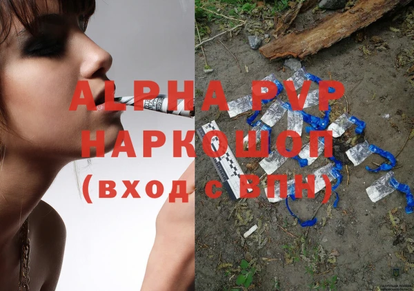 индика Арсеньев
