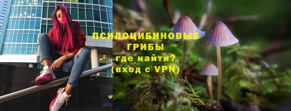 индика Арсеньев