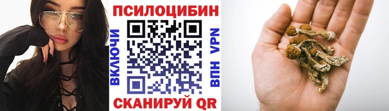 Псилоцибиновые грибы Cubensis  Купить где  Голицыно 